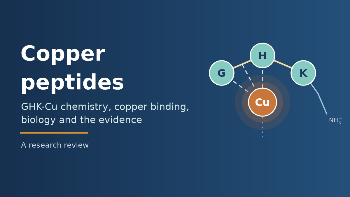 Title graphic for a review of copper peptides, showing an abstract three-bead GHK peptide chain holding a copper ion