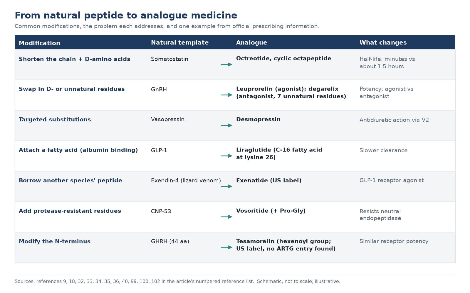 Diagram of common ways natural peptides are modified into analogue medicines, with one example for each modification