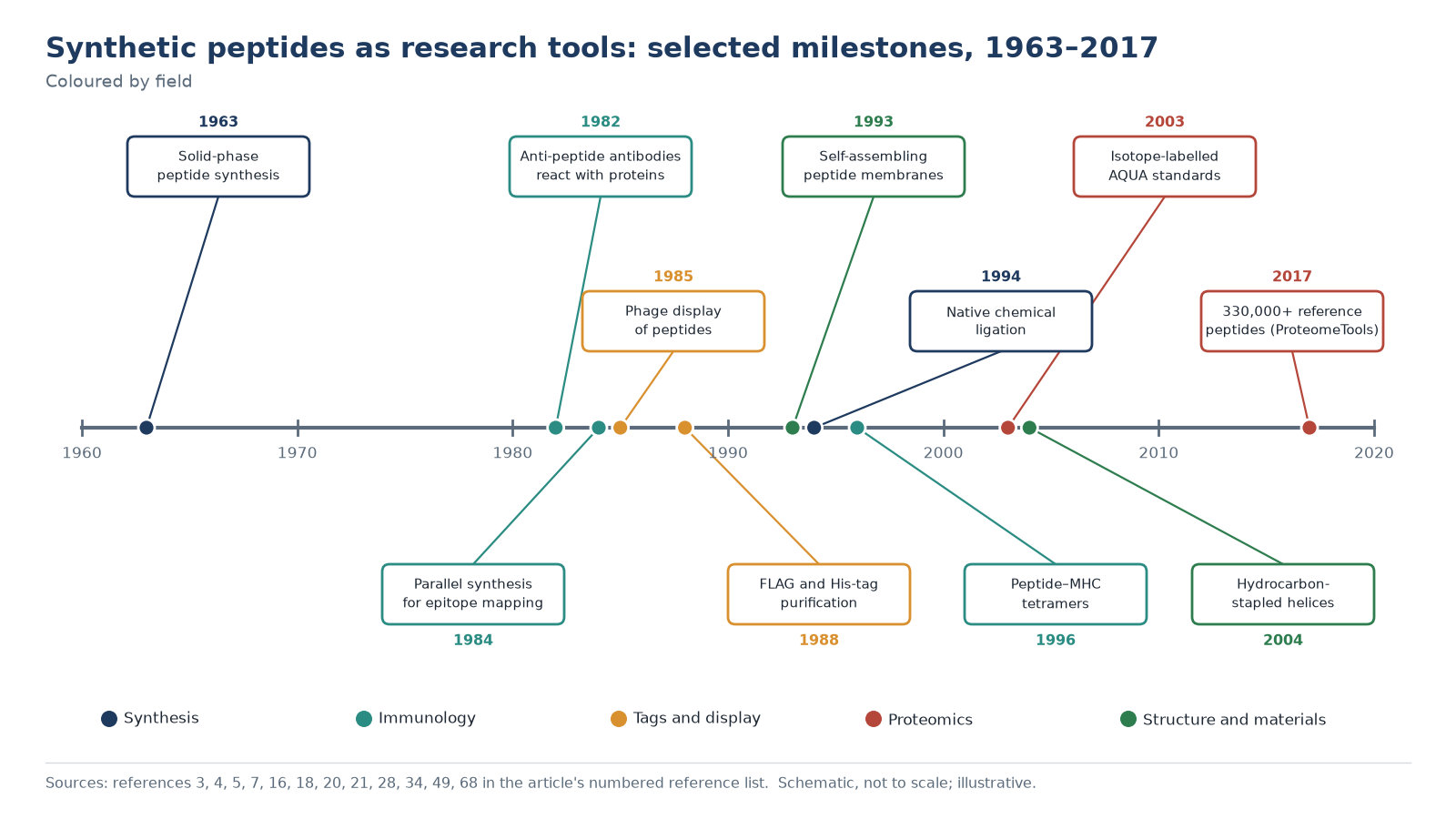 Timeline of synthetic peptides as research tools from solid-phase synthesis in 1963 to anti-peptide antibodies, parallel epitope synthesis, phage display, tags, AQUA standards and a 330,000-peptide library