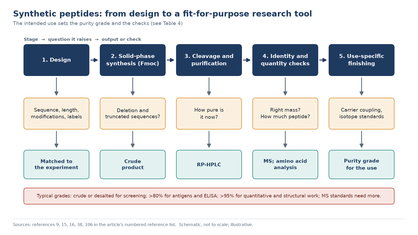 Workflow showing how synthetic peptides are designed, made by solid-phase synthesis, purified, checked by HPLC and mass spectrometry, modified and matched to a purity grade for the intended research use