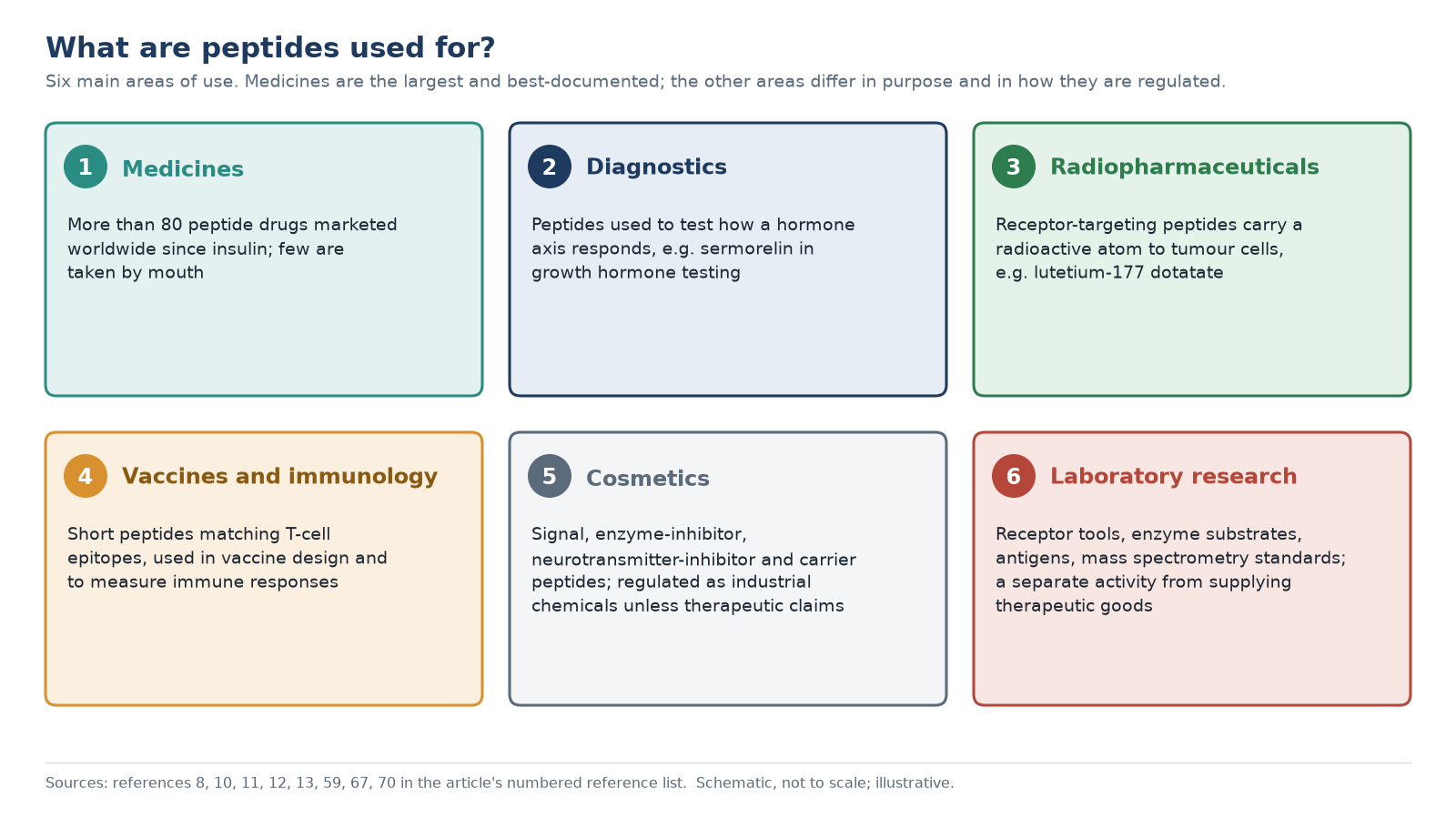 Overview chart of what peptides are used for: medicines, diagnostics, radiopharmaceuticals, vaccines and immunology, cosmetics, and laboratory research